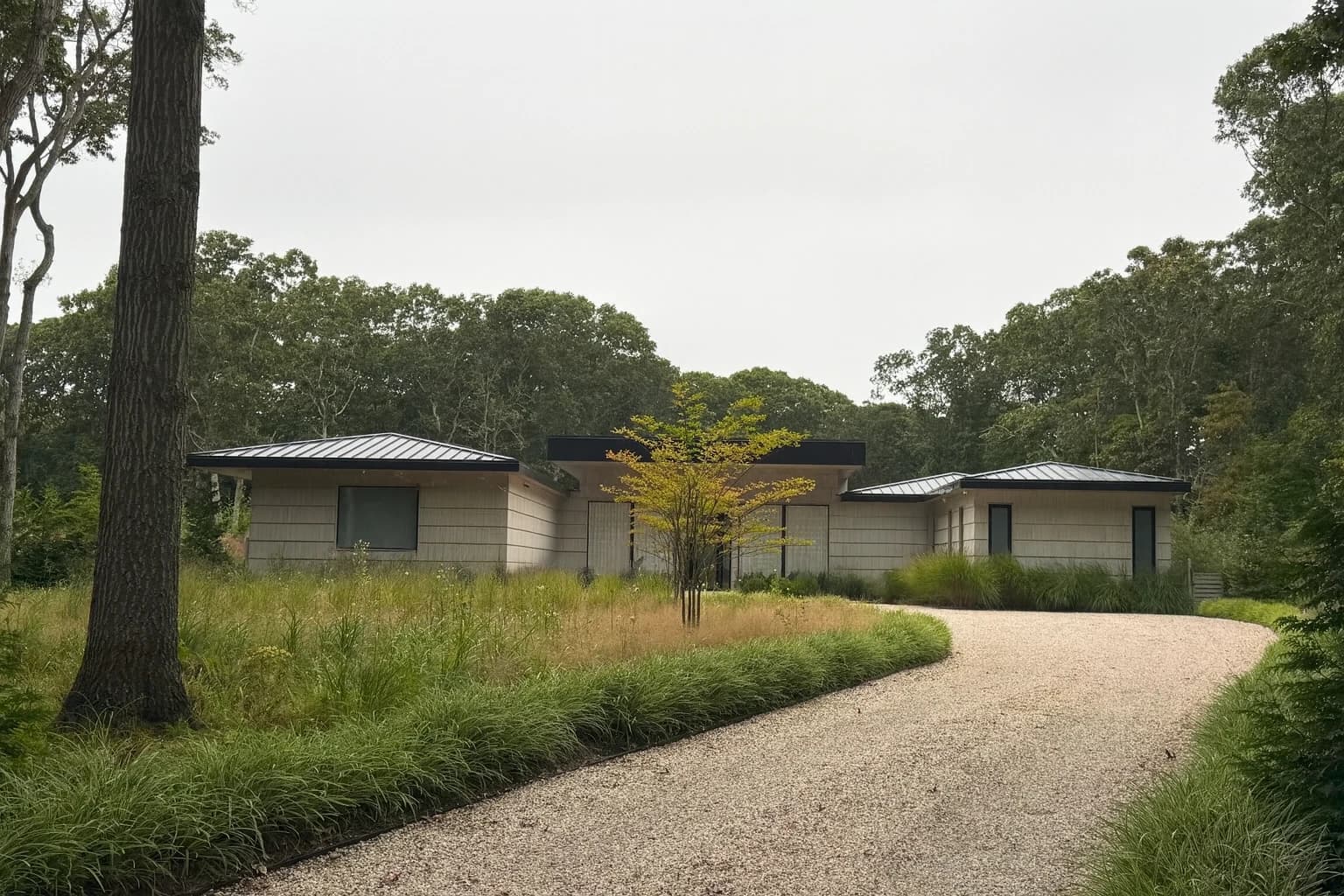 Oasis in the woods Sagaponack