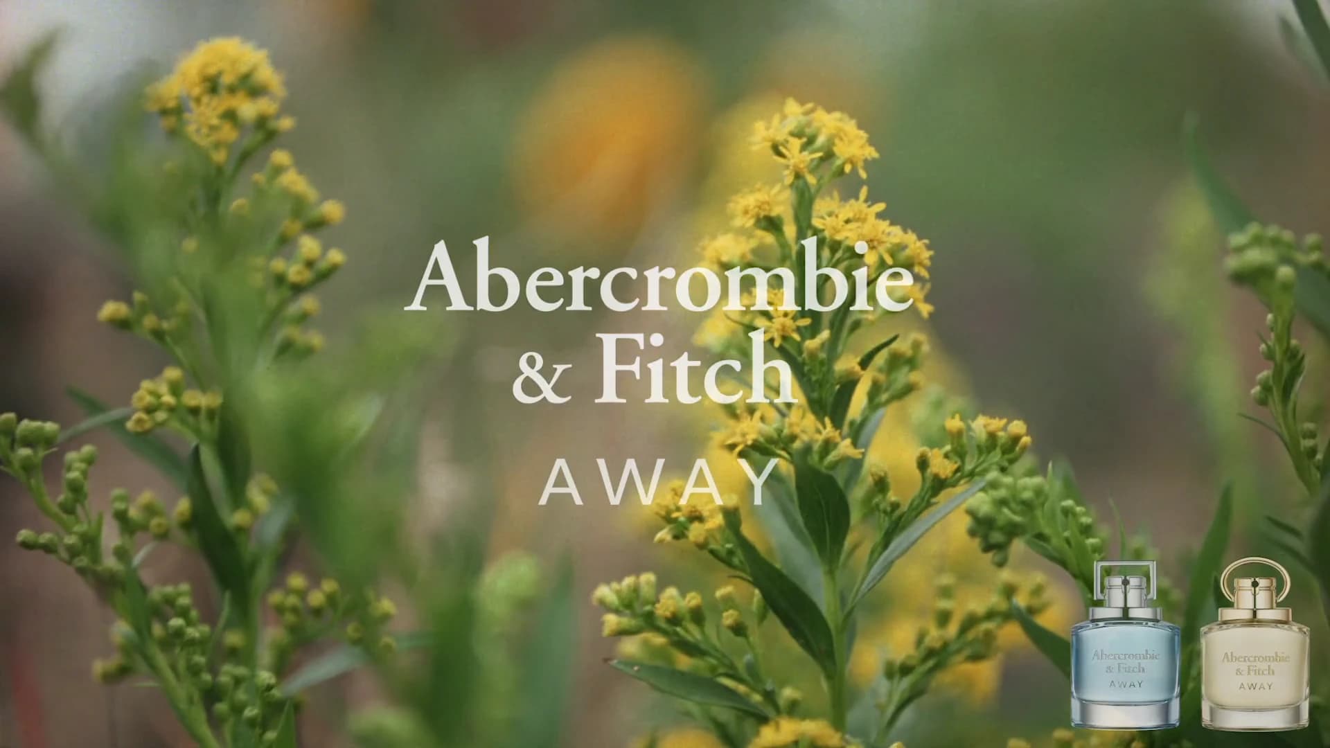 Brooklyn residential landscape