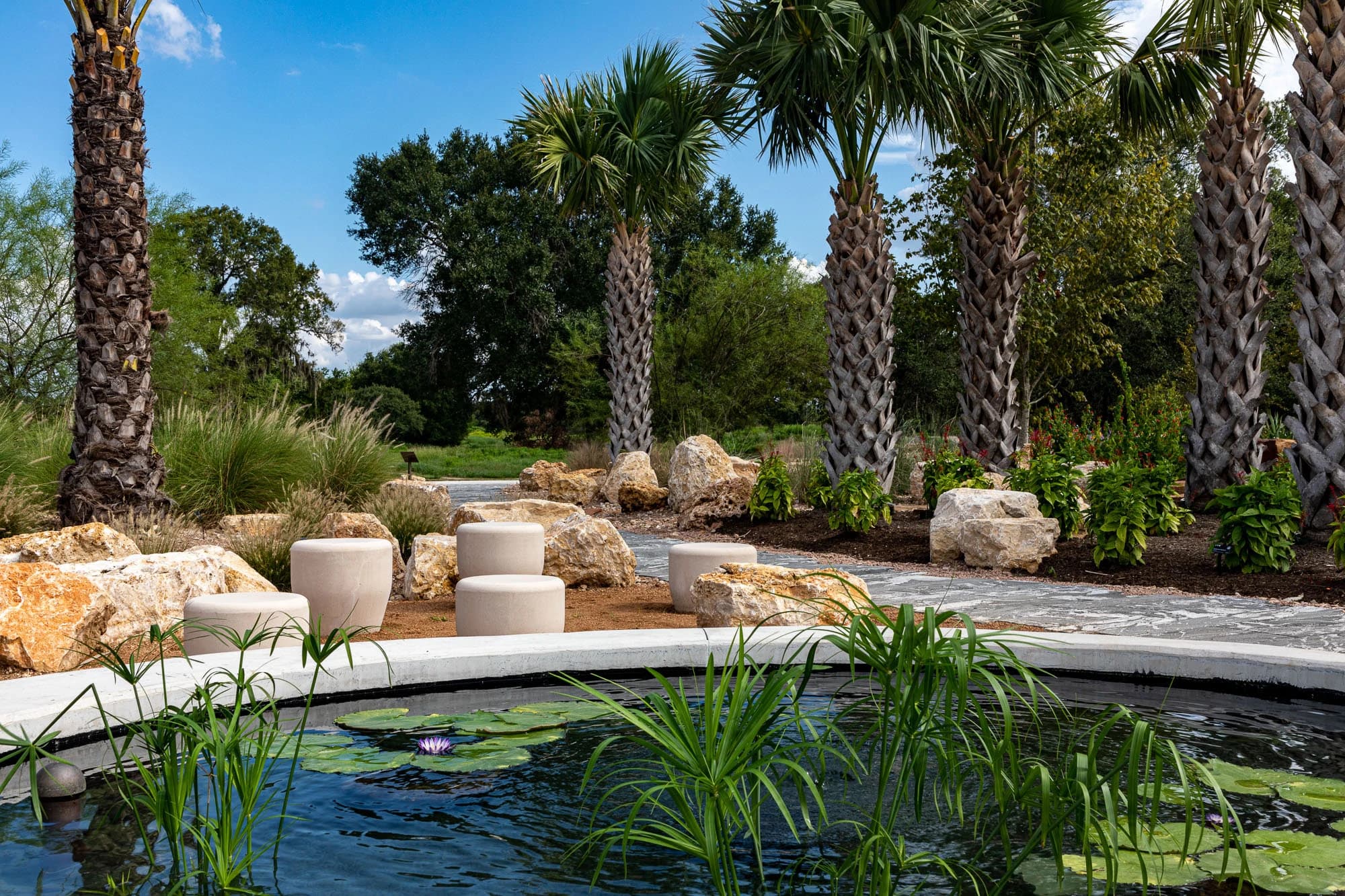 Houston Botanic Garden planting design