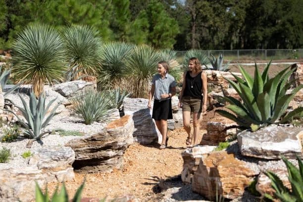Two visitors stroll through a contemporary desert garden landscape, surrounded by architectural stonework and native agave and yucca plants, with towering evergreen trees visible in the background.