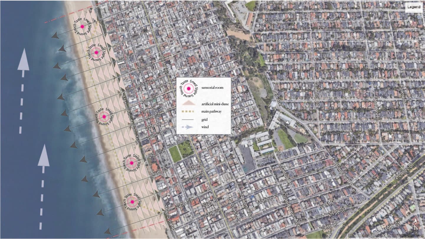 Manhattan Beach dune restoration