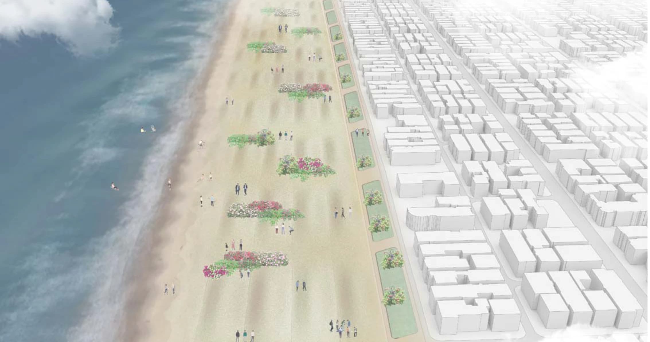 Manhattan Beach dune restoration