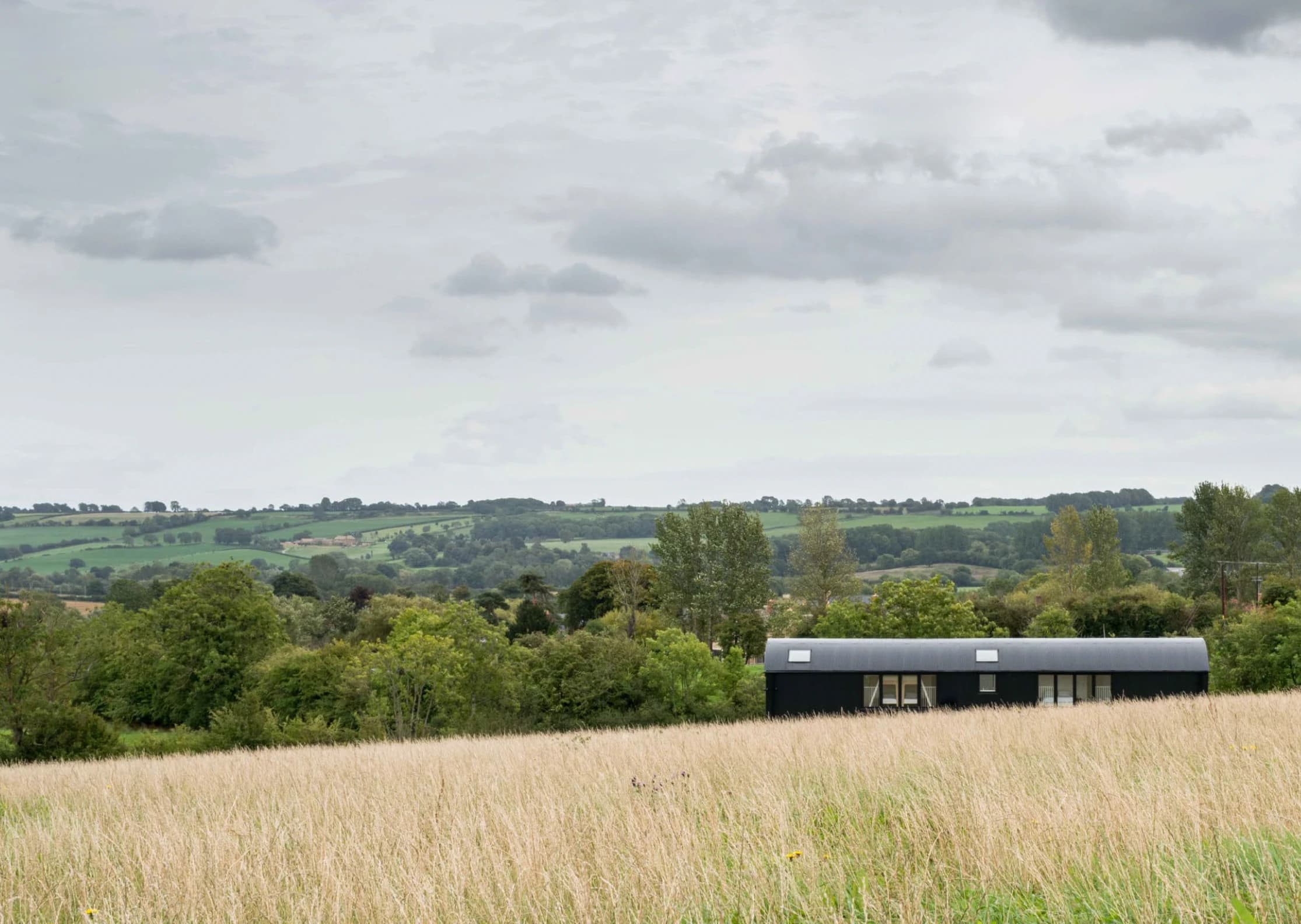 Cotswolds rewilding project