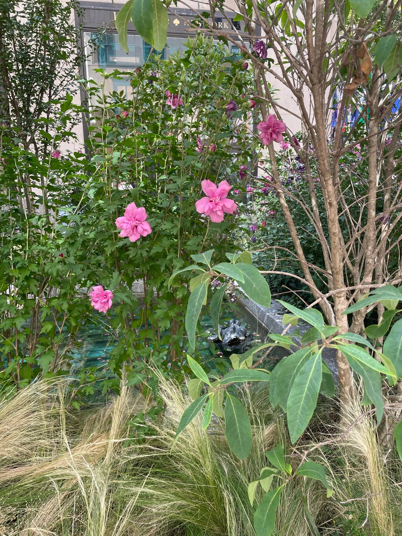 Channel Gardens at Rockefeller Center - Image 2