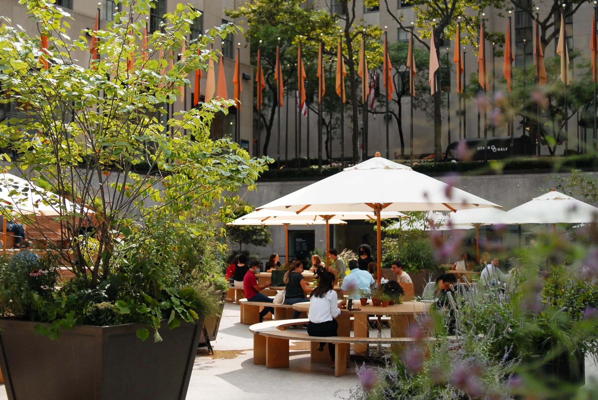 The Rink's Summer Garden, Rockefeller Center - Image 1