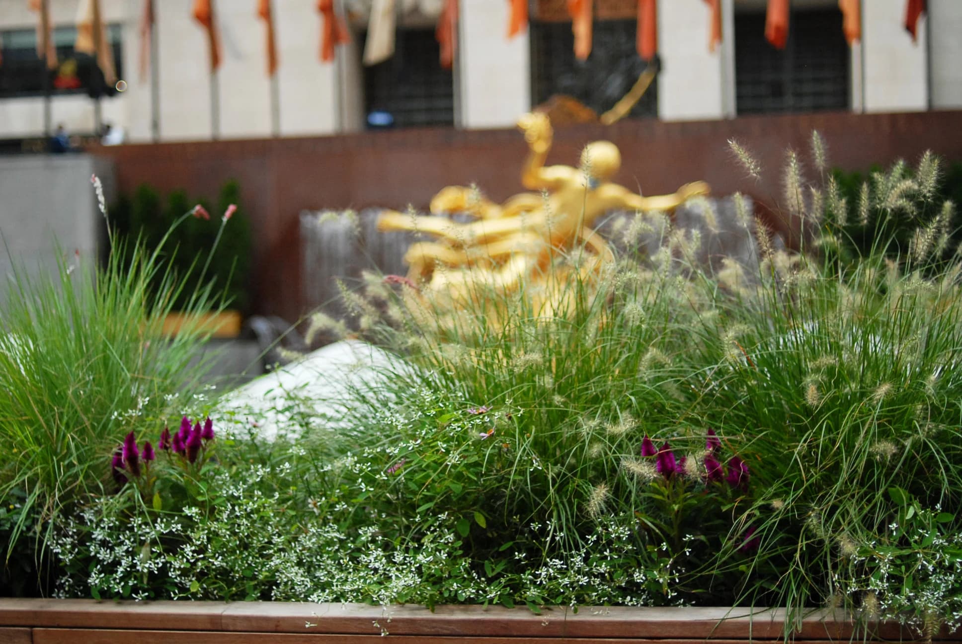 The Rink's Summer Garden, Rockefeller Center - Image 2