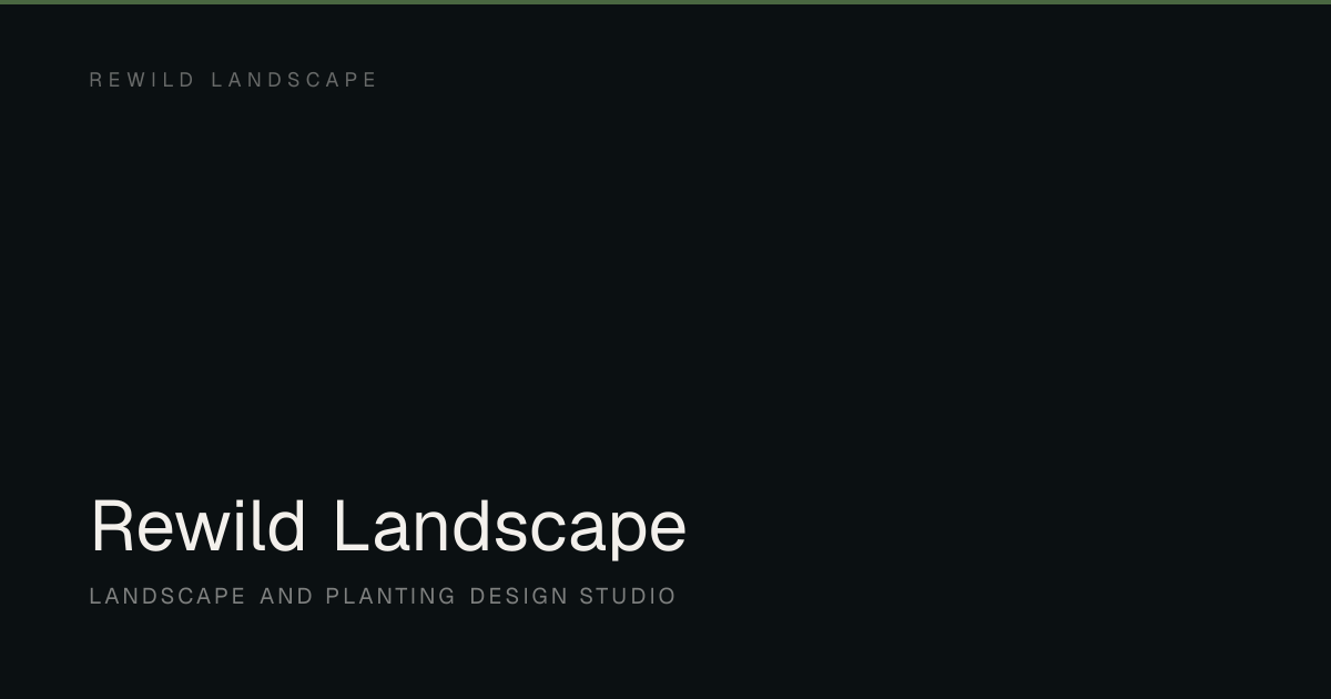 Rewild Landscape | Landscape and Planting Design Studio